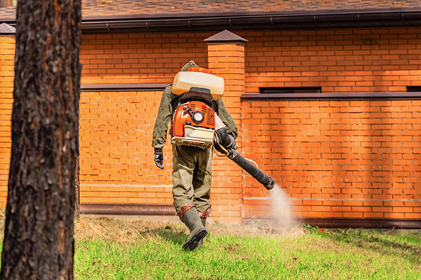 Bed Bug Clearance Verification and Documentation in Lavaca